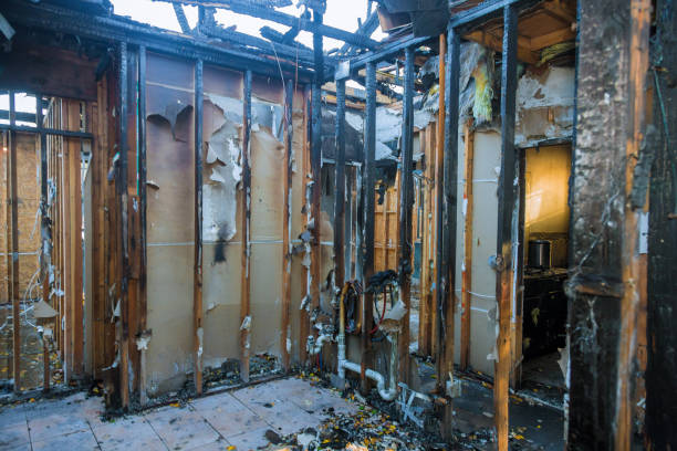 Professional Fire Damage Removal technician working in Buffalo Center, IA
